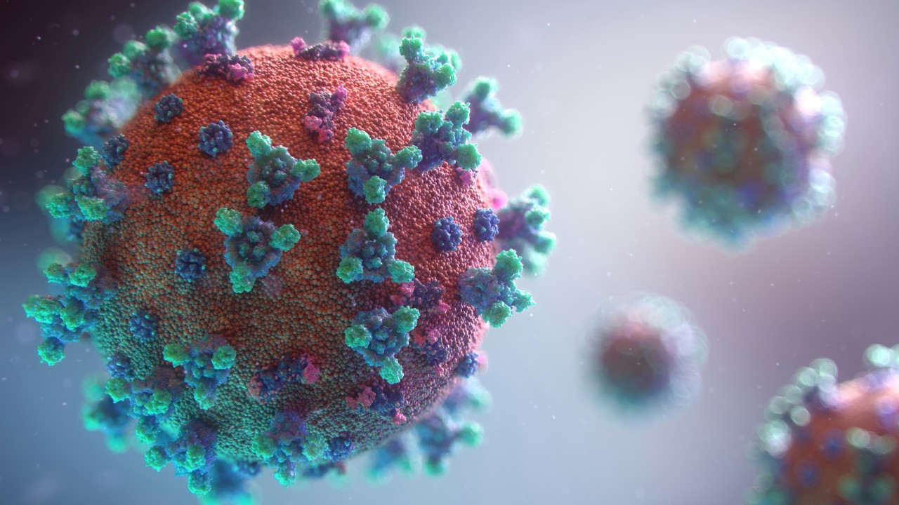 hantavirus_virus_432565